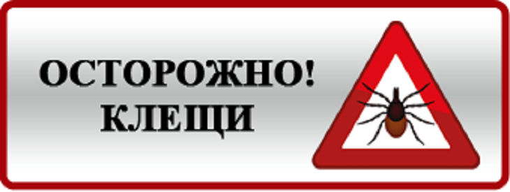 Осторожно клещи Осторожно клещи.